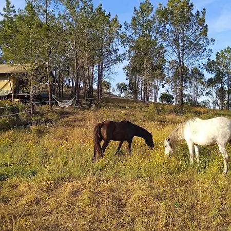 Luksustelt Glamping Safari Da Paz *