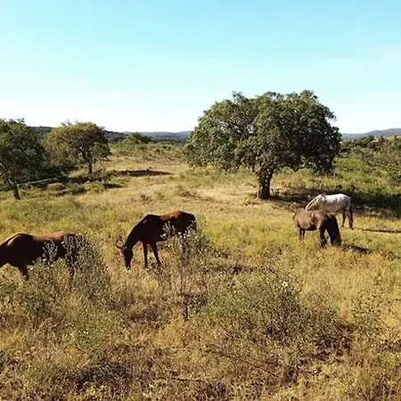 Glamping Safari Da Paz * Aljezur