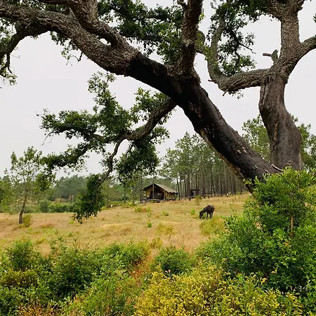 Luksusowy namiot Glamping Safari Da Paz